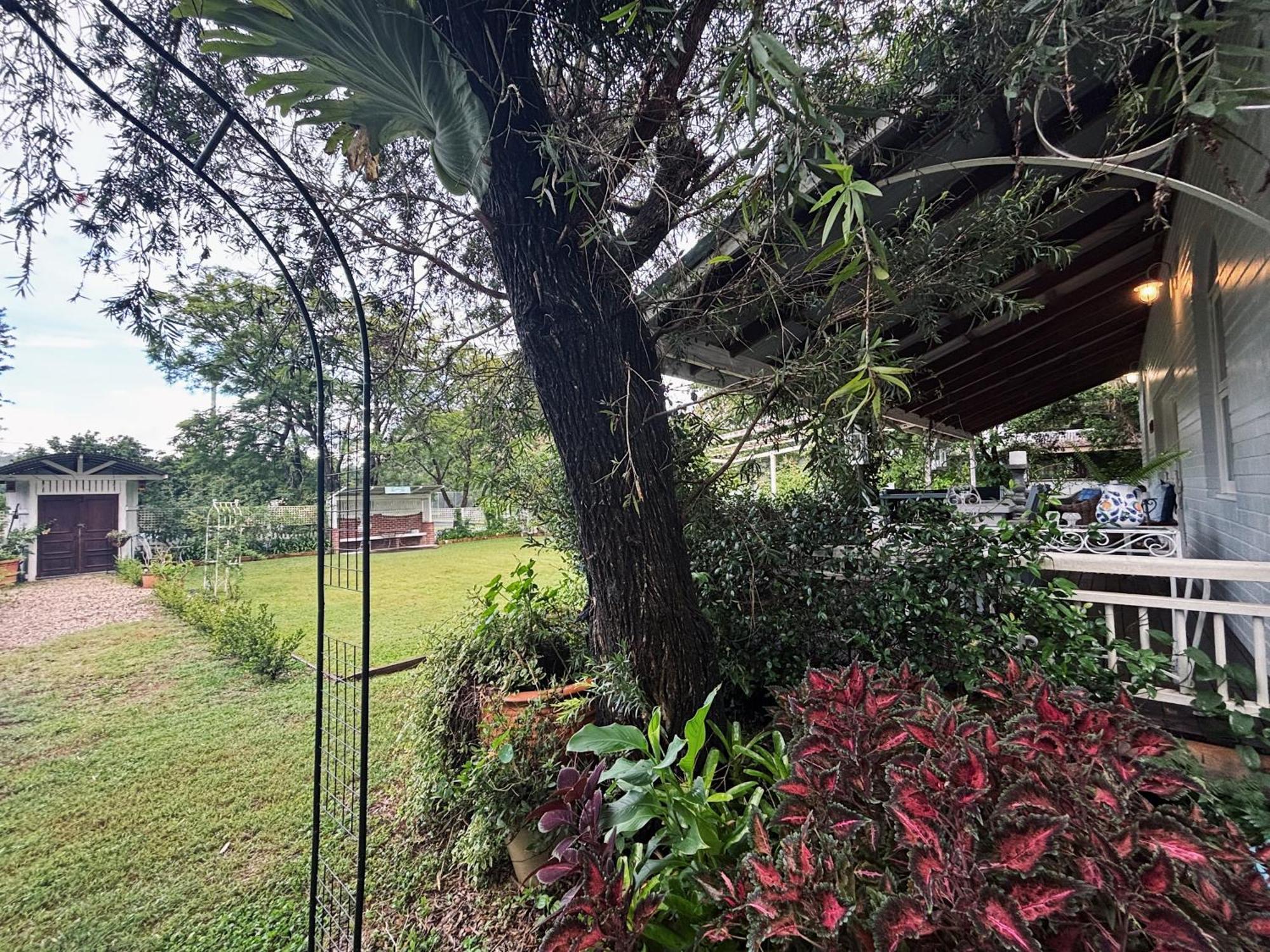 Celestial Dew Guesthouse In Tyalgum Exterior foto